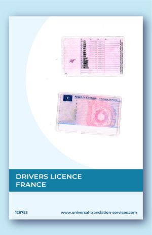 A template of French drivers license